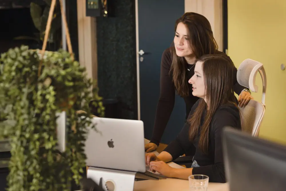 Stage developer / webdesigner - Rock the Web